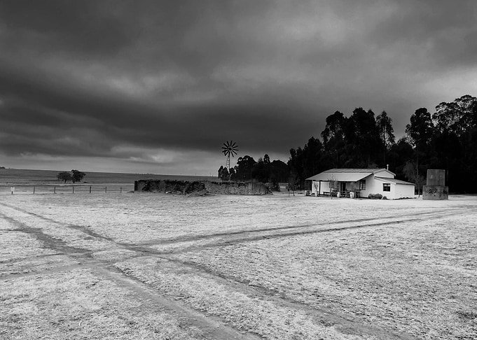 Displate metal poster of A Storm Approaching, a black and white photograph of an overcast beach with a small building and trees.