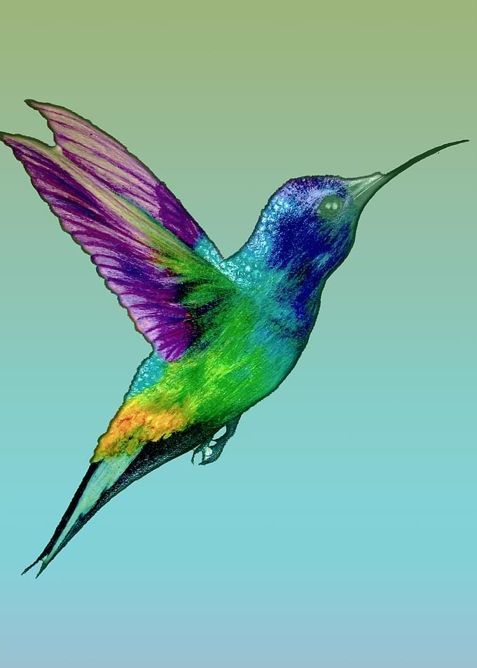 Displate metal poster of Colorful Hummingbird Illustration, a colorful hummingbird in flight against a soft green and teal background.