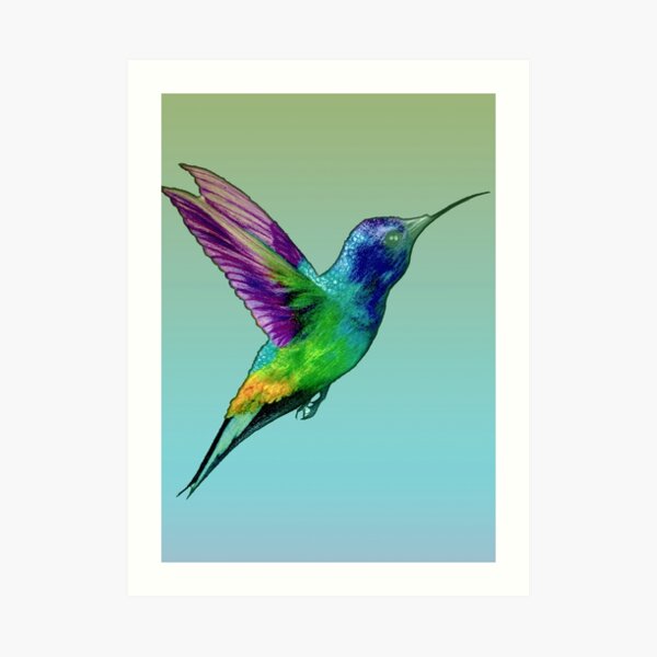 Redbubble art print preview featuring the Colourful Hummingbird artwork.