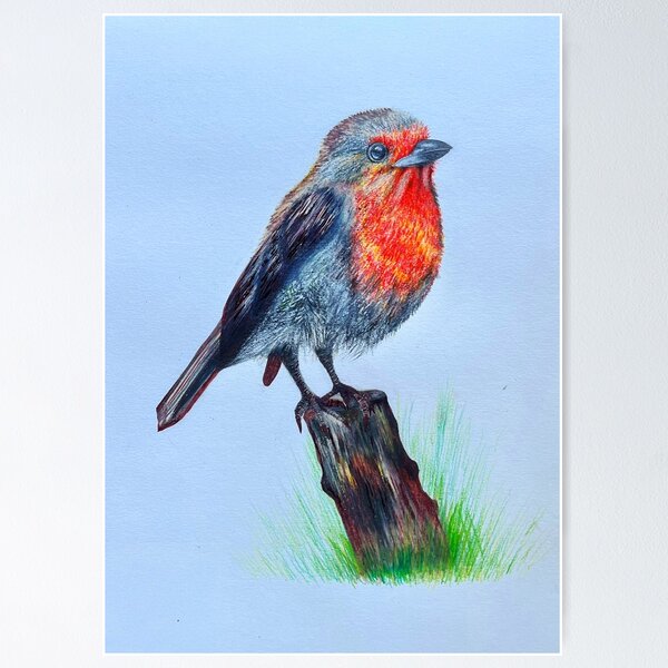 Redbubble poster preview featuring the Colourful Red-breasted Bird artwork.