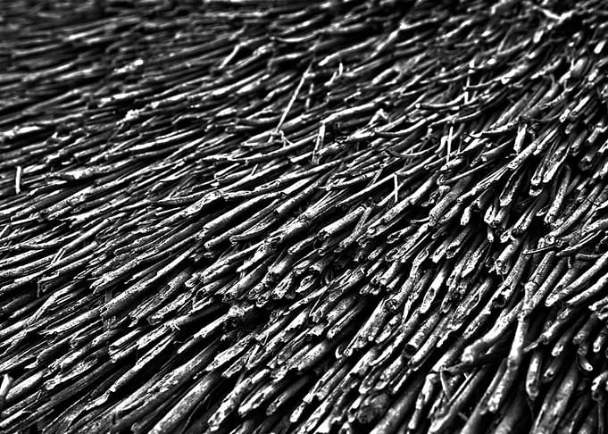 Displate metal poster of Dubbed Grass, a high-contrast black and white texture of grass blades.
