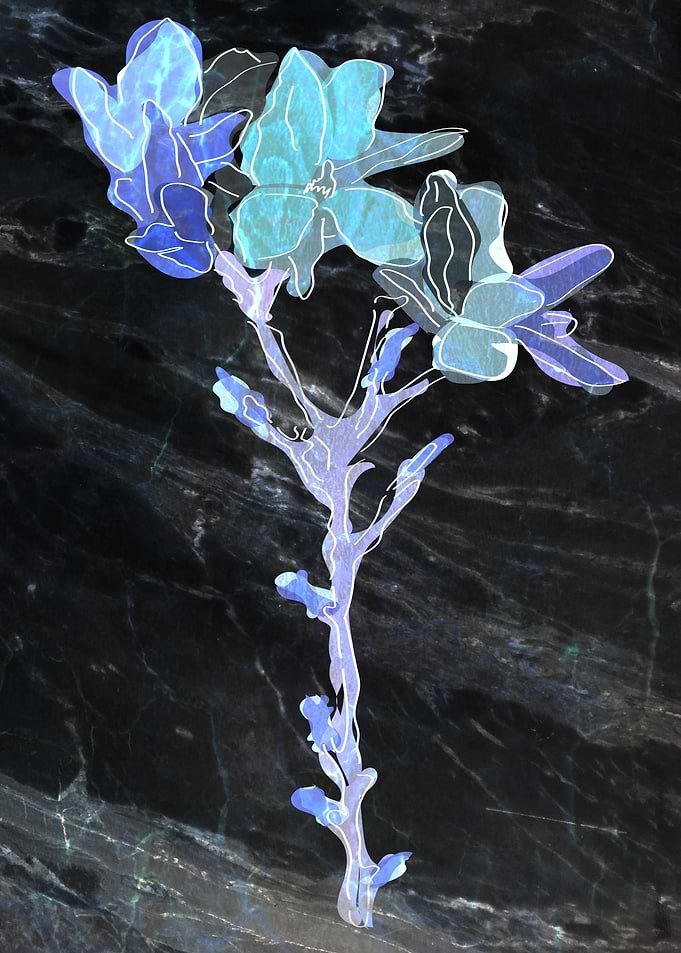Displate metal poster of Flower on Granit, a stylized blue flowering plant stem over dark granite.
