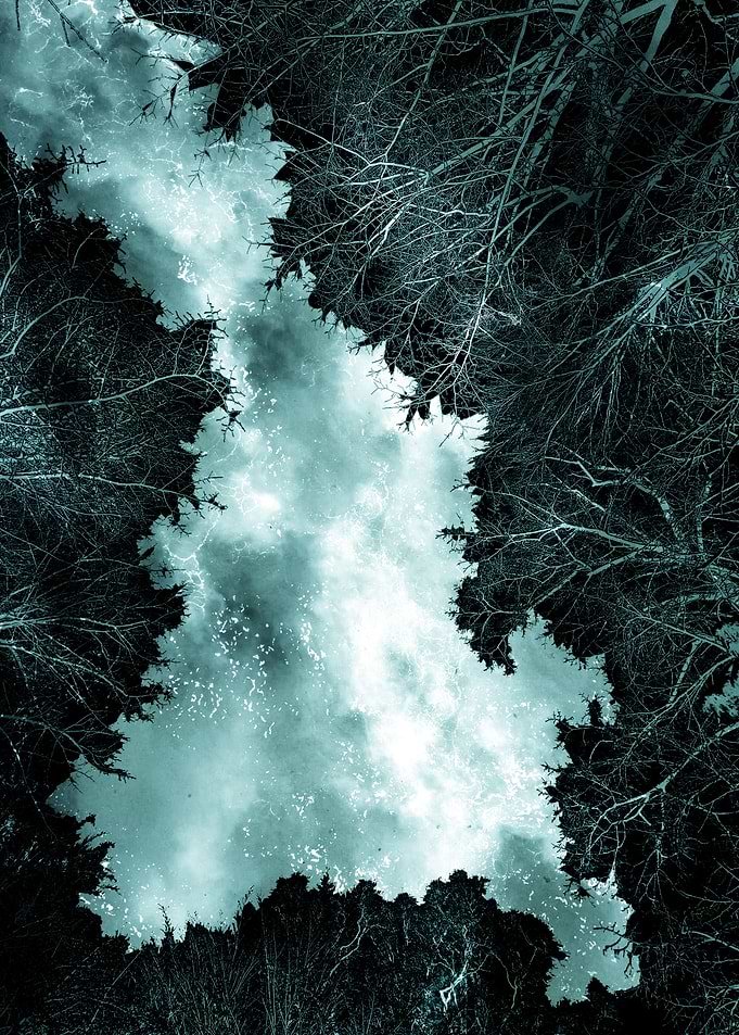 Displate metal poster of Island in the Woods, a white misty island shape surrounded by dark bare woods.