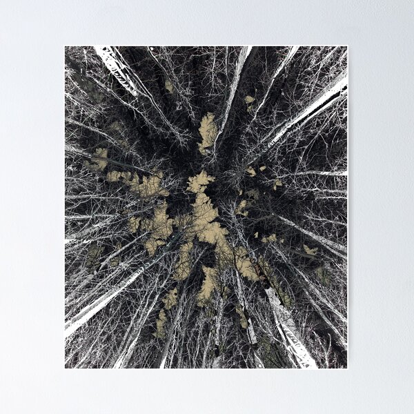 Redbubble poster preview featuring the Islands in the trees artwork.