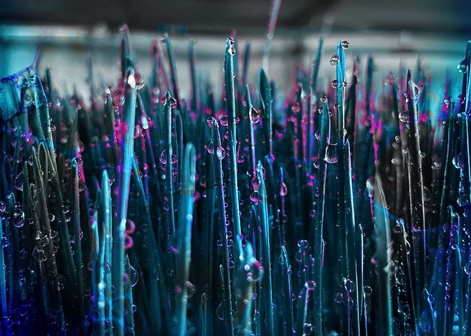 Displate metal poster of Neon Grasscape, macro view of neon blue and teal grass blades with water droplets.