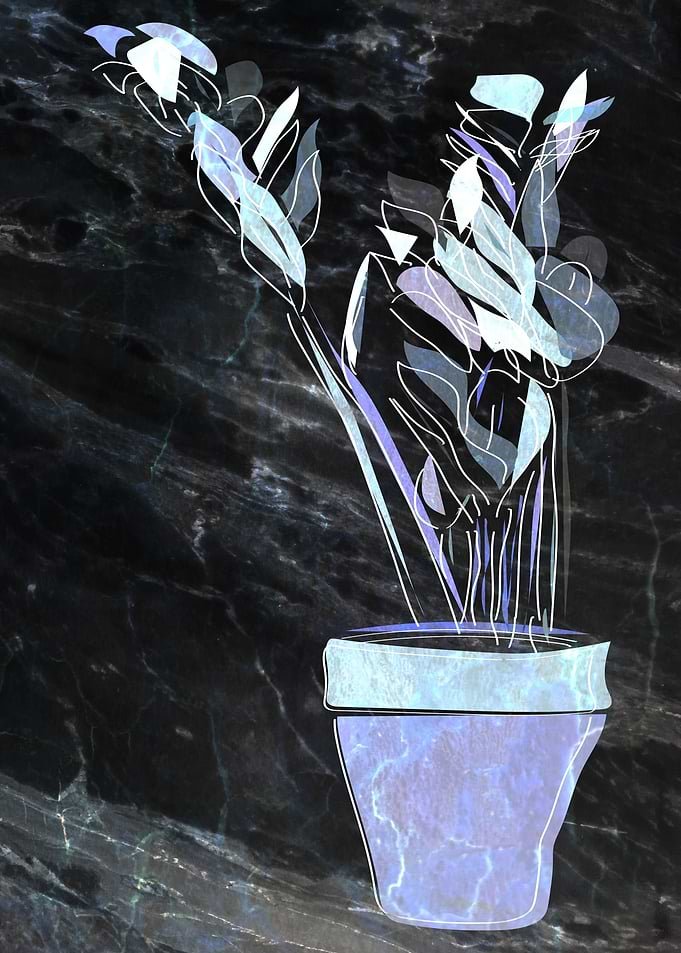 Displate metal poster of Pot Plant 2, a stylized pale blue potted plant over dark granite.