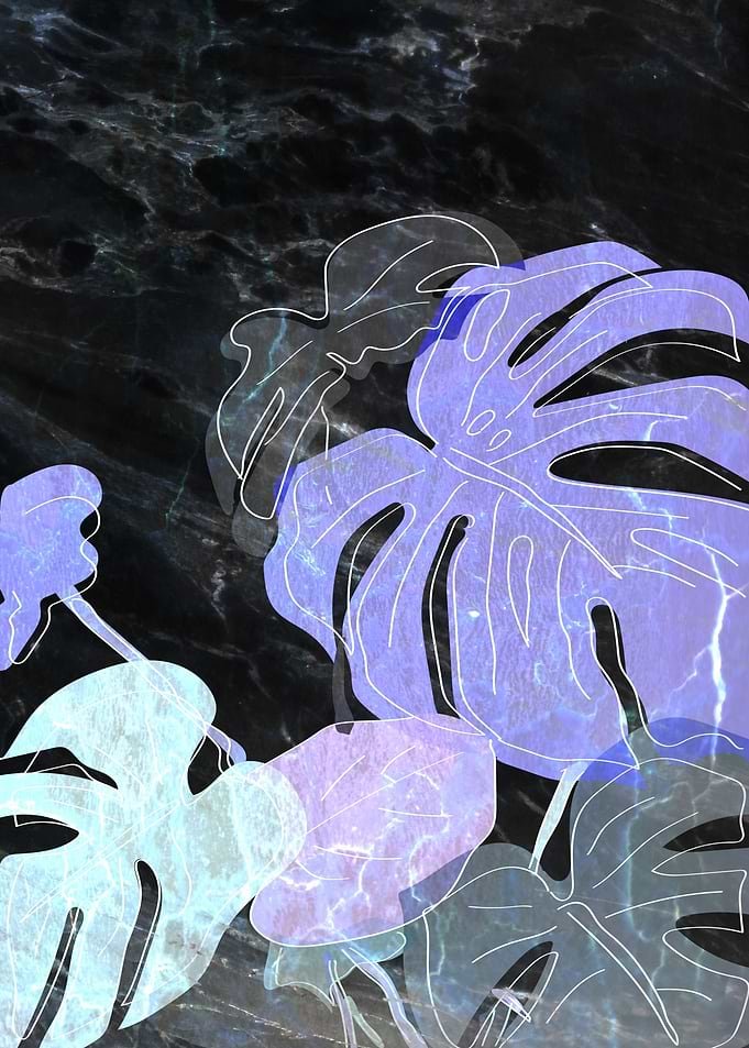 Displate metal poster of Pot plant on Granite No1, purple and mint monstera leaves over dark granite.
