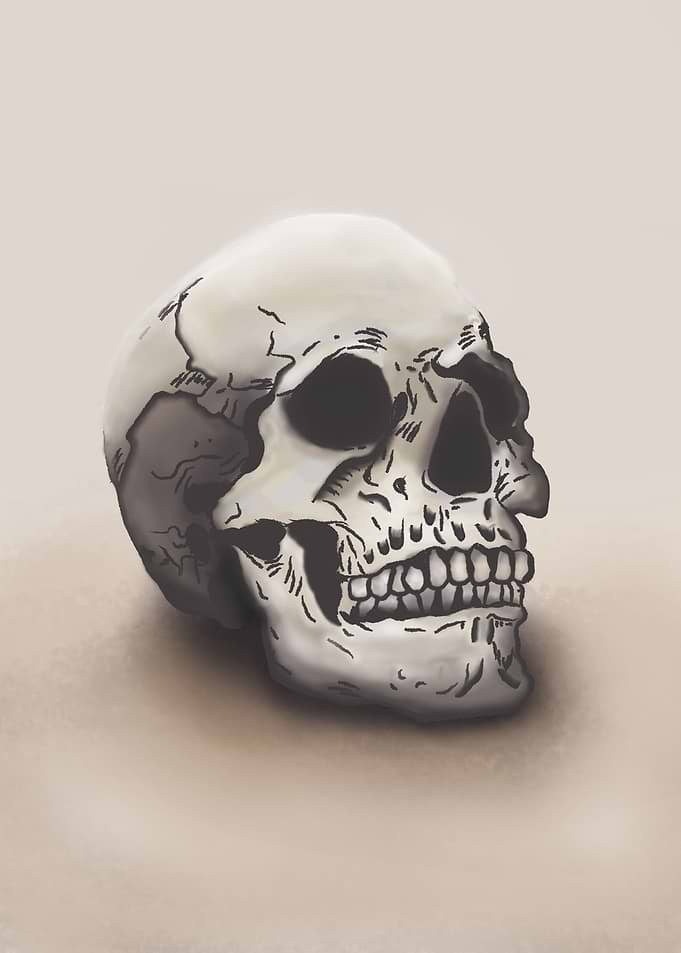 Displate metal poster of Skully, a detailed shaded drawing of a human skull on a beige background.